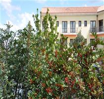 Hotel I Lecci Villanovaforru