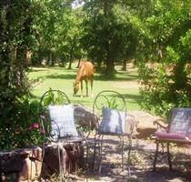 Country Hotel Mandra Edera Abbasanta