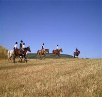 Country Hotel Mandra Edera Abbasanta