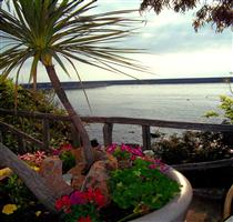 Hotel La Conchiglia Cala Gonone