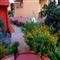 B&B Ciro's House Olbia