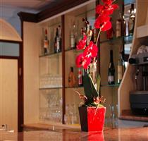 Phillyrea Hotel Belvi'