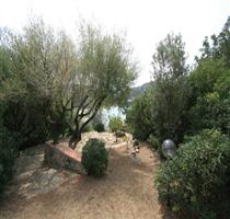 Villa Scarabeo Torre delle Stelle
