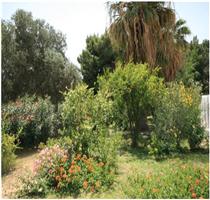 Villa Venere Torre delle Stelle