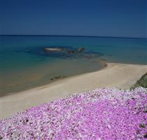 Residence Costa Doria Castelsardo
