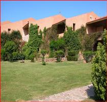 Ville Coda Cavallo San Teodoro