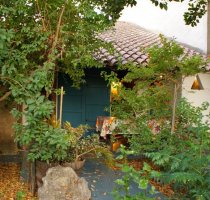 Casa Neem Cabras