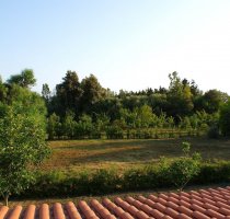 Casetta 1 Salvia Oristano