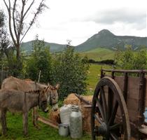 Agriturismo Il Mirto Sassari