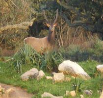 B&B La Ginestra Arbus