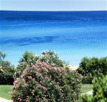 Free Beach Club Muravera