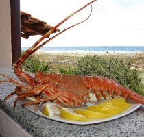 B&B Mirto e Mare Muravera