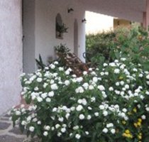 B&B Il Corallo Loiri Porto San Paolo