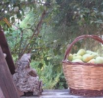 B&B Il Corallo Loiri Porto San Paolo