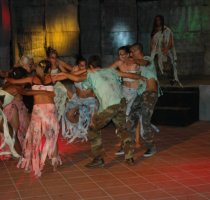 Horse Country Resort Congress & SPA Arborea