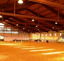 Horse Country Resort Congress & SPA Arborea