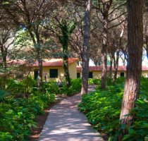 Horse Country Resort Congress & SPA Arborea