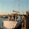 Boat and Breakfast Fenic