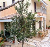 Hotel Bonsai San Teodoro