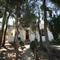 Villa Simona Flumini
