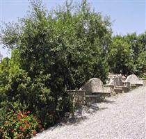Residenza Locci Teulada