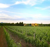 Wine Resort Ledà d'Ittiri Alghero