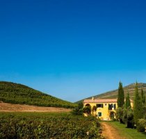 Wine Resort Ledà d'Ittiri Alghero