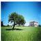 Agriturismo Su Cunzatu de Vitale Lodè