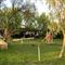 Agriturismo Naturabio
