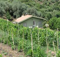 Agriturismo S'Ortu e Su Riu Bosa