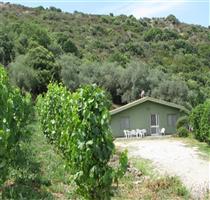 Agriturismo S'Ortu e Su Riu Bosa