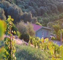 Agriturismo S'Ortu e Su Riu Bosa