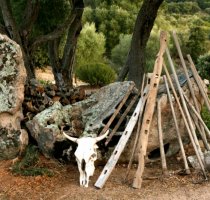 B&B Asfodeli.com Loiri Porto San Paolo